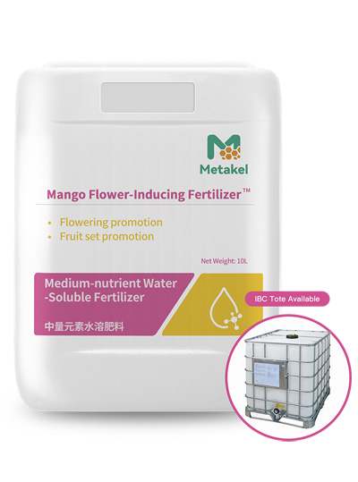 芒果开花肥料