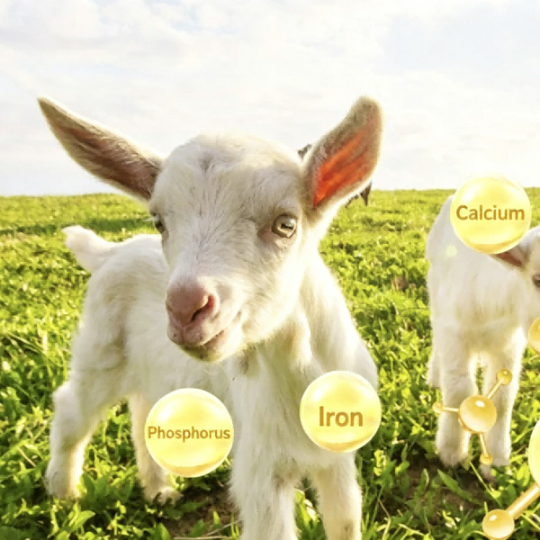 4% Meat Goat  Compound Premix 