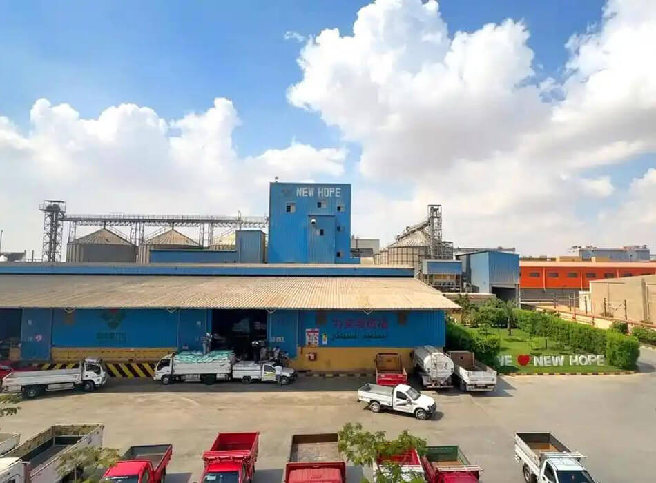 New Hope Liuhe Successfully Hosts High-Quality Development Summit for Scale Layer Farming
