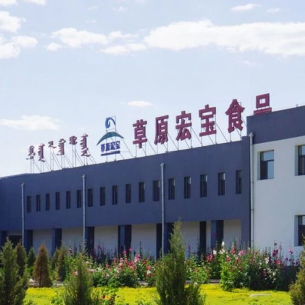 Inner Mongolia Caoyuan Hongbao Food Co., Ltd.